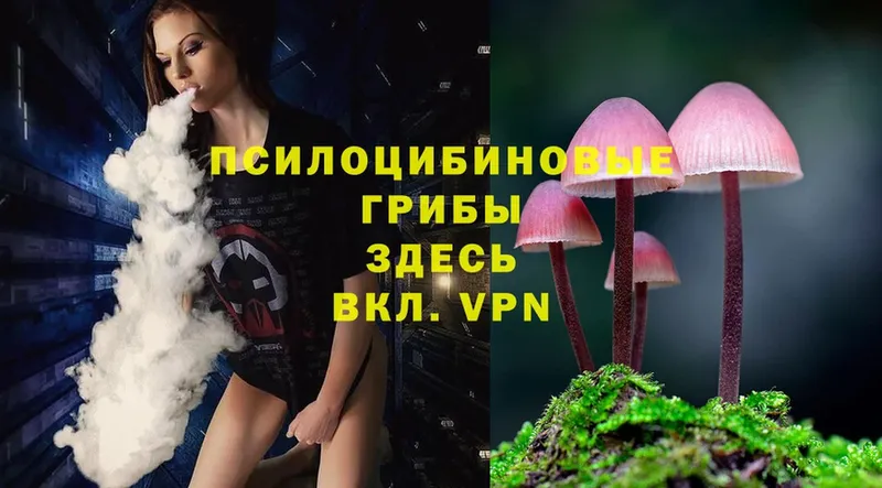 Галлюциногенные грибы Magic Shrooms  Зеленогорск 